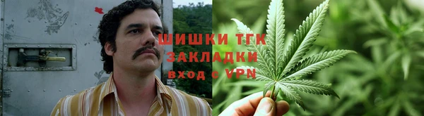 ешки Пересвет