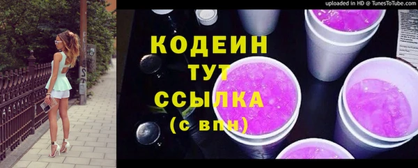 ешки Пересвет
