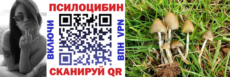 Псилоцибиновые грибы мицелий Боровск